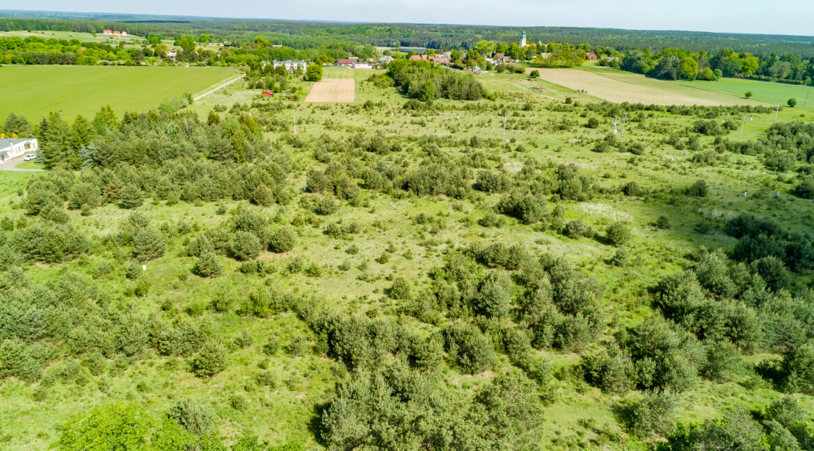 Dabrowka-Koscielna-3