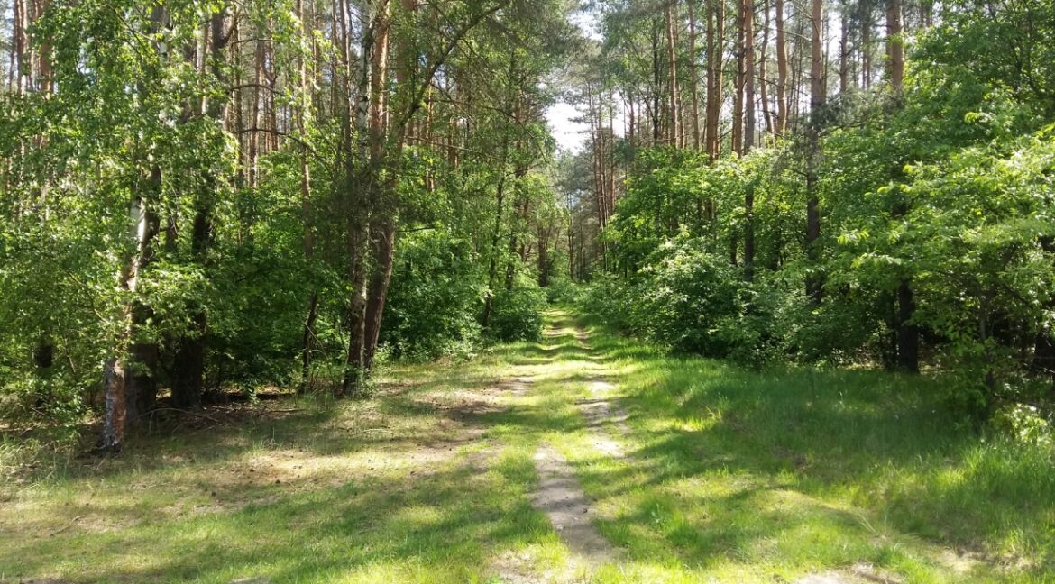zdjęcie główne 01